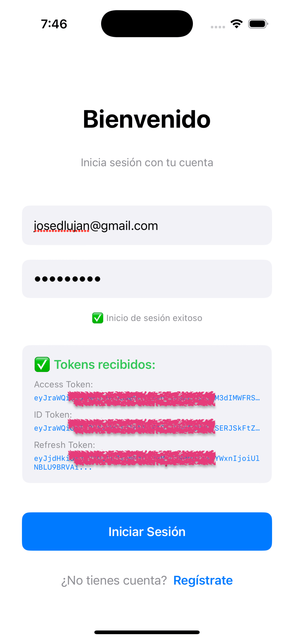 Sign in screen showing received tokens