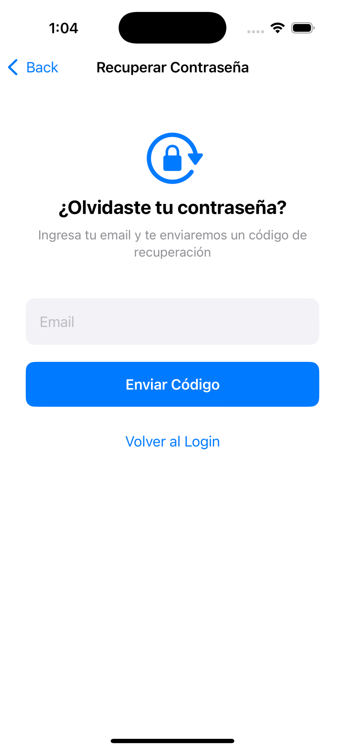 ForgotPasswordView step 2 — enter code and new password screen