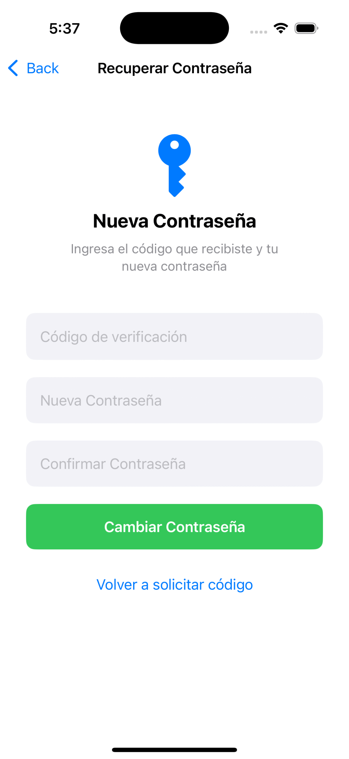 Rate limiting alert — too many attempts